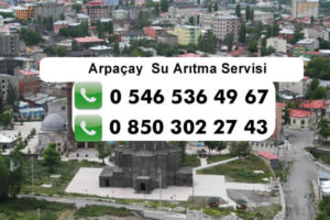 arpacay-su-aritma-servisi