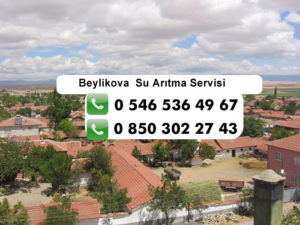 beylikova-su-aritma-servisi
